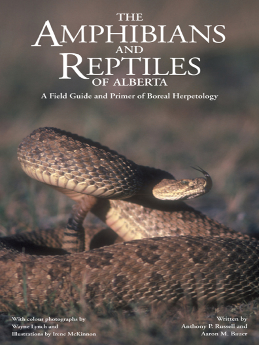 Title details for The Amphibians and Reptiles of Alberta by A. P. Russell - Available
